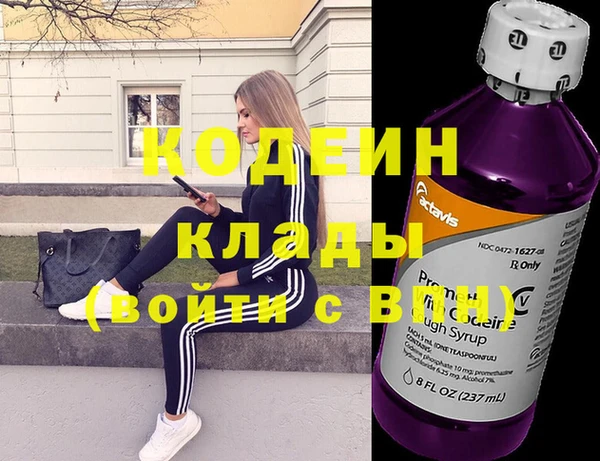 крисы Корсаков