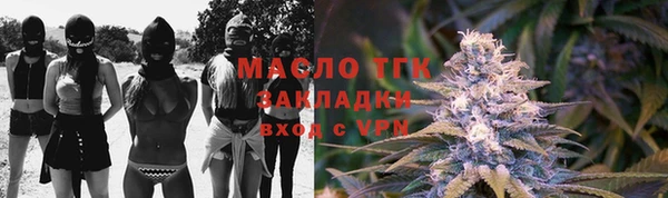 крисы Корсаков