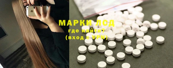 крисы Корсаков