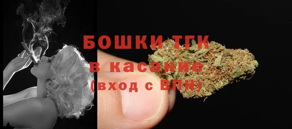 крисы Корсаков