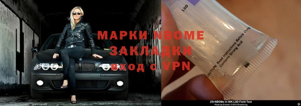 крисы Корсаков
