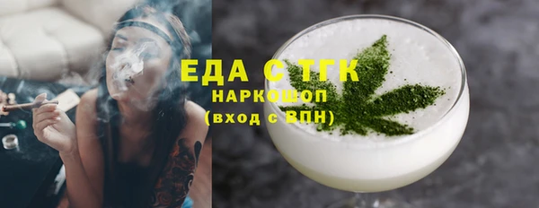 крисы Корсаков