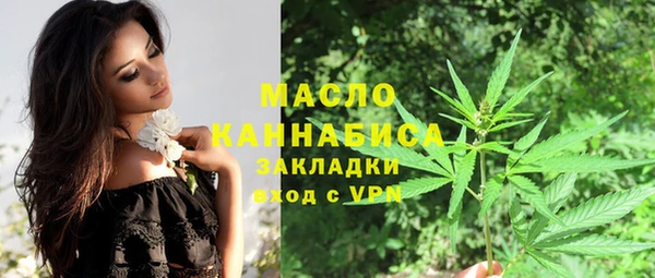 крисы Корсаков
