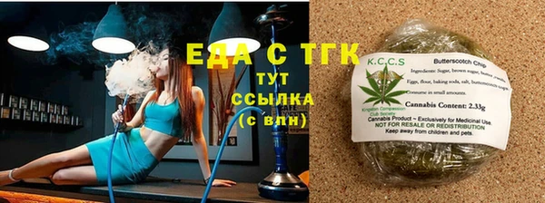 крисы Корсаков