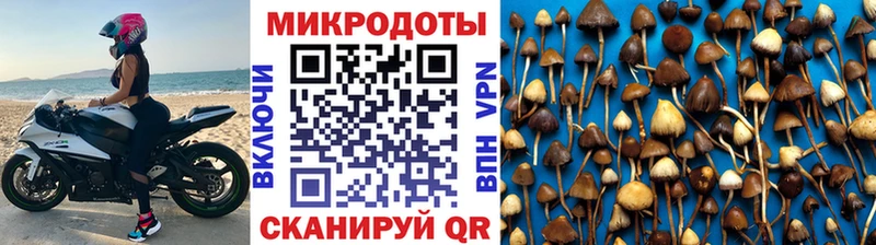 Псилоцибиновые грибы Psilocybine cubensis  Купить  Курчалой 
