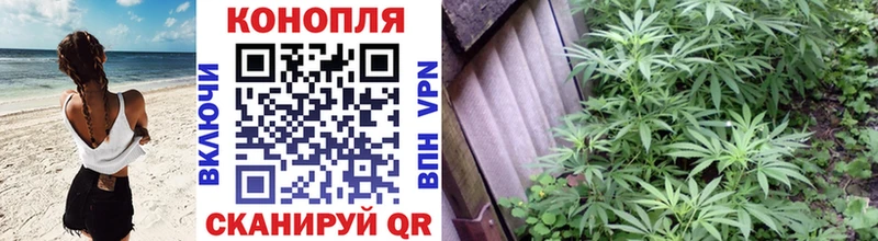 Купить где  Курчалой  МАРИХУАНА ГИДРОПОН 